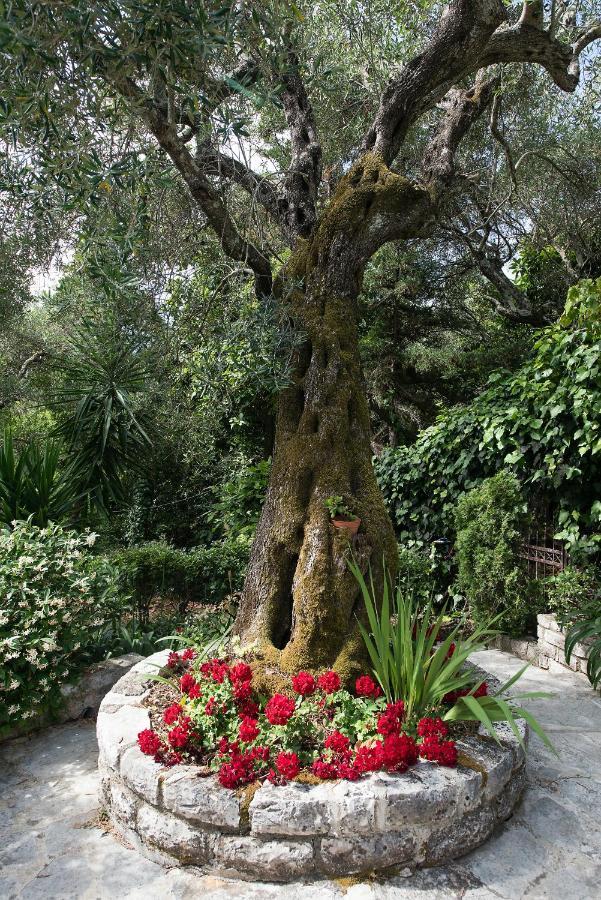 Villa Lofos Kassiopi Exteriör bild